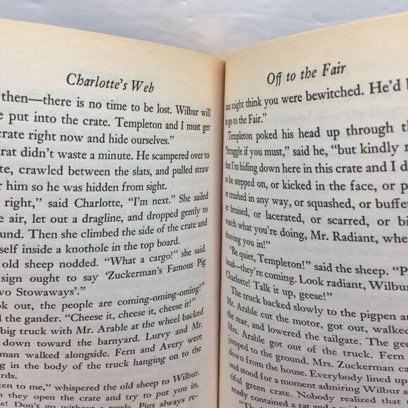 Lot 2 Kids Chapter Books Charlotte's Web Strange Thing Allen Brewster Gardiner - Picture 13 of 14